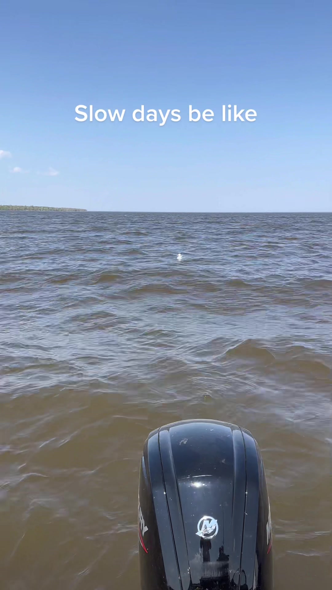 @Walleye Fever