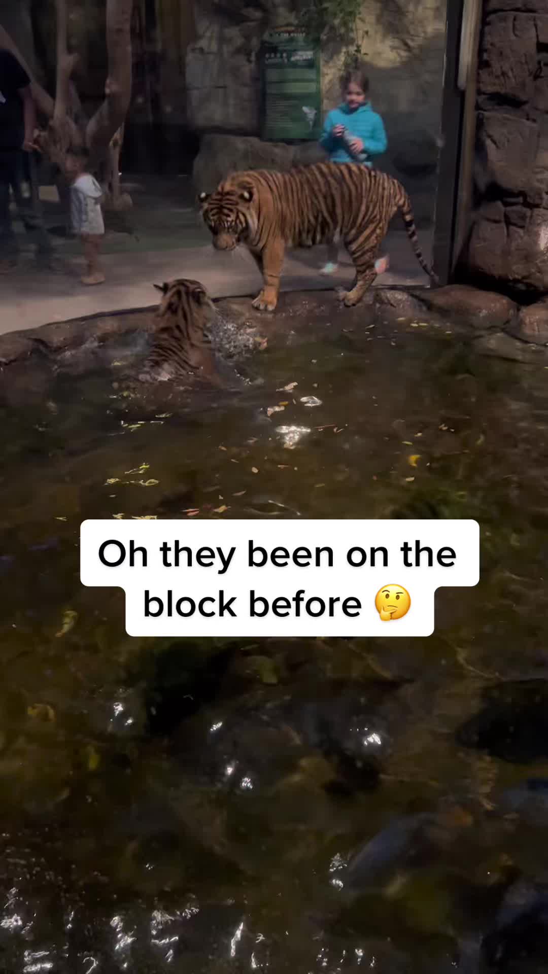 @LoST-files