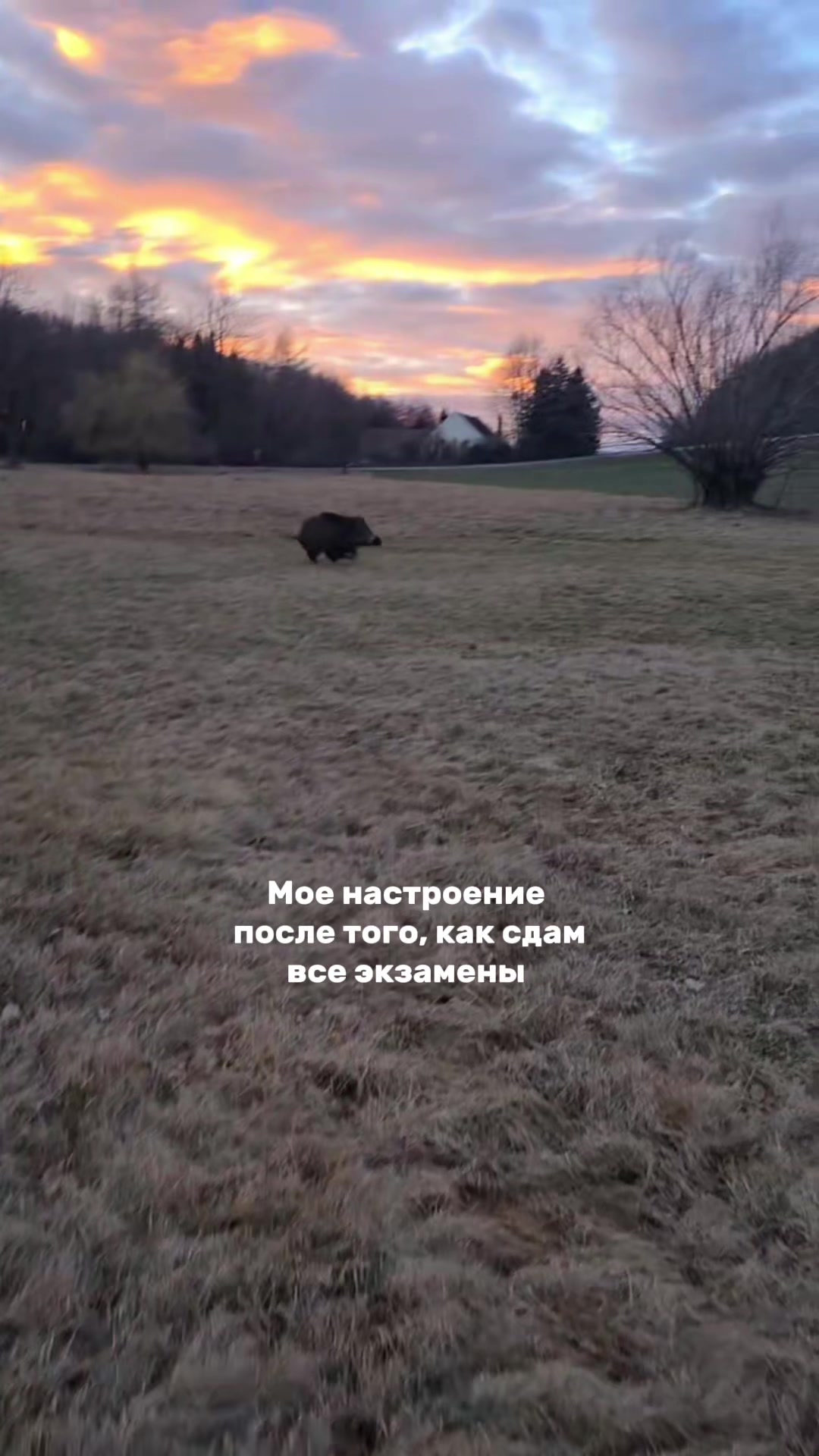 @ОГЭ / ЕГЭ по математике