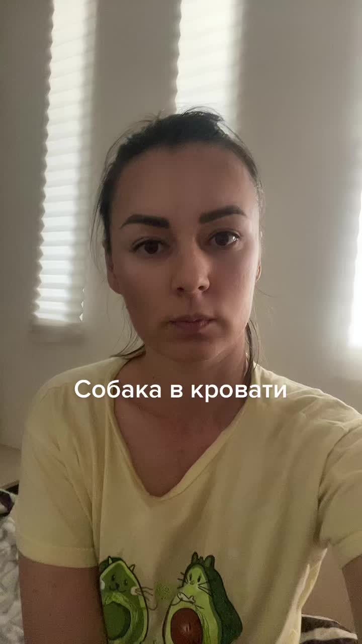 @белая сова
