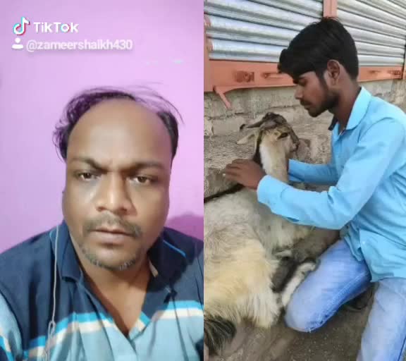 @Zameer Ahemad Shaikh