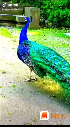 @thirupathaiah