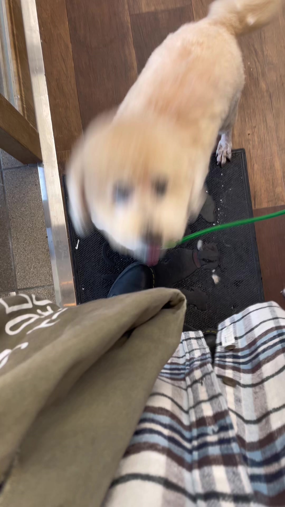 @きなこ