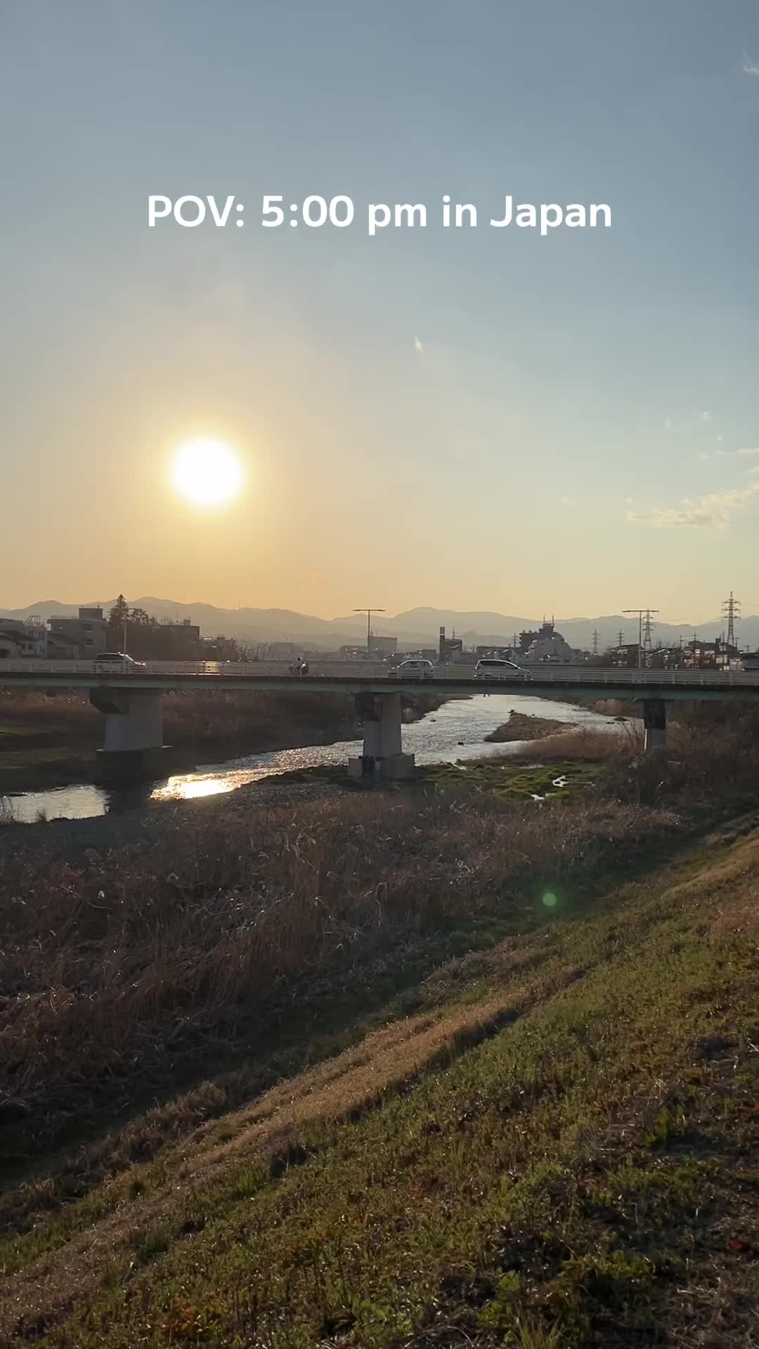 @_shinji71