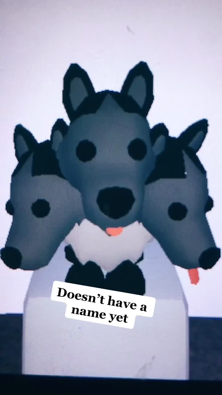 @🤍