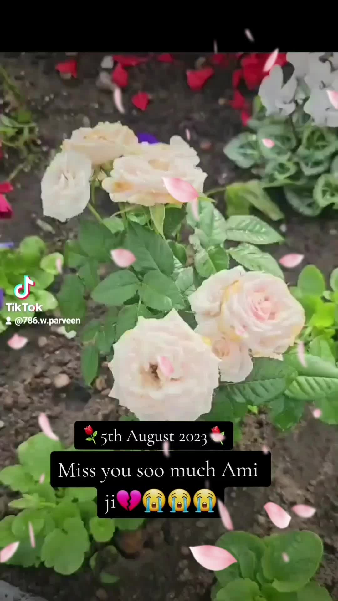 @W.PARVEEN❤