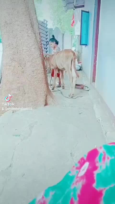 @💙ഷഫീക് 💙