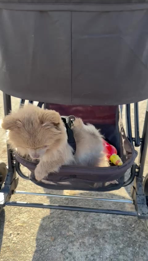 @𝒦𝑒𝓇𝓈𝓉𝒾𝓃 🤗
