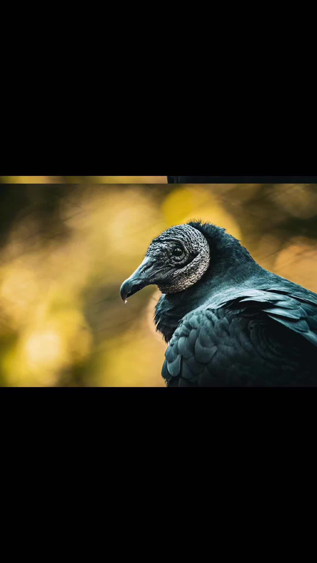 @D. Simmank Photo
