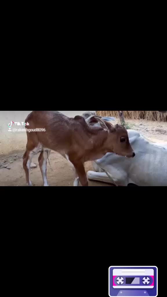 @rakeshgoud
