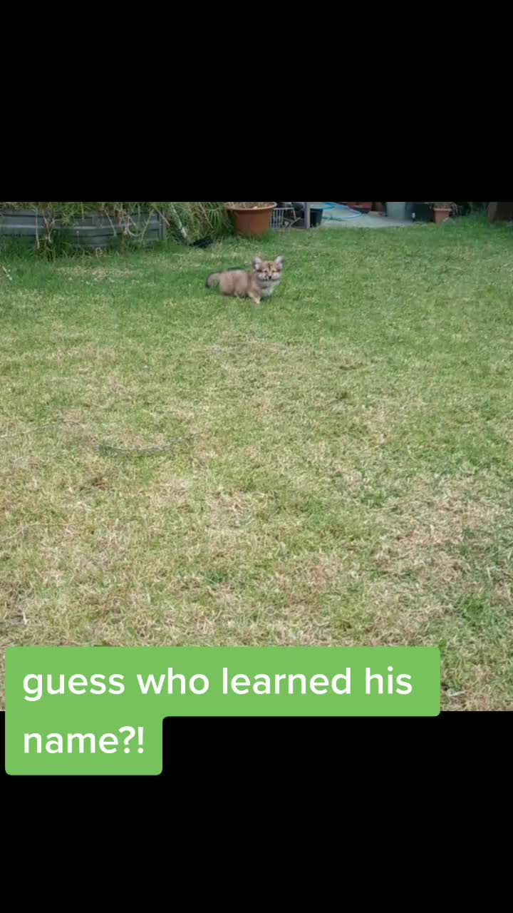 @Bilbo Waggins