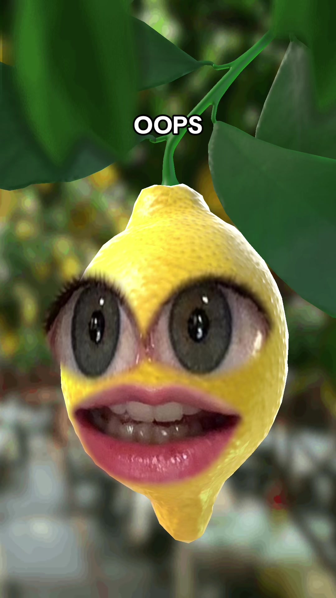 @talkinglemonrry