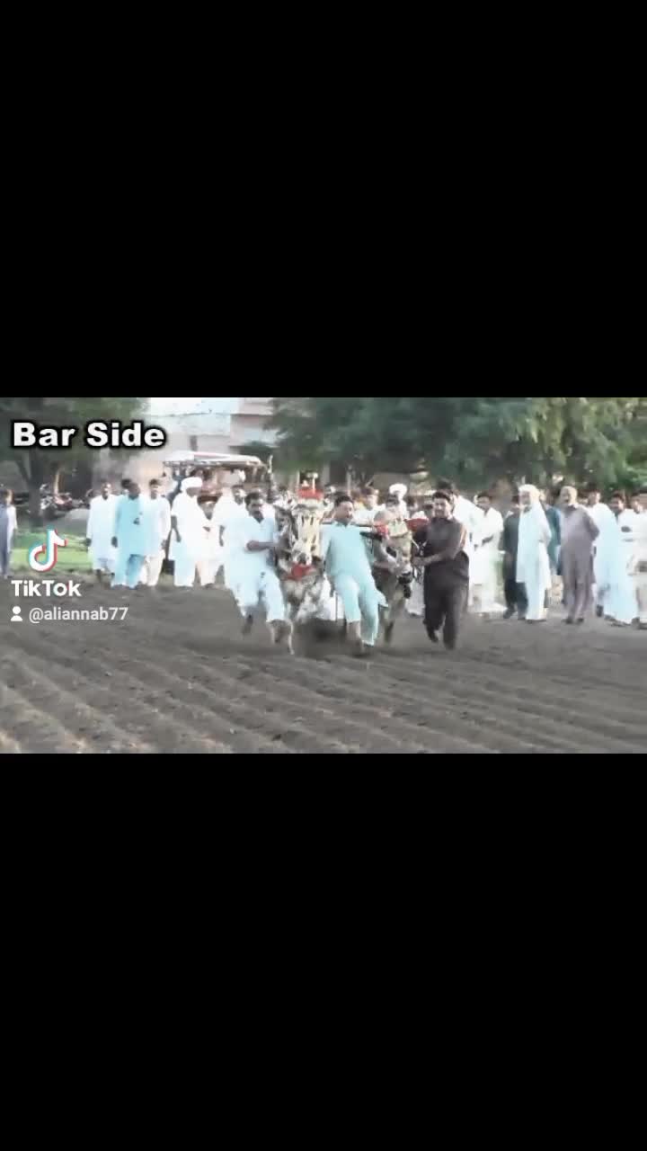 @Ali Annab