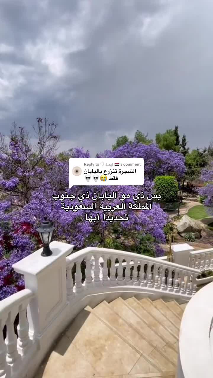 @Saudi 🇸🇦شمالي
