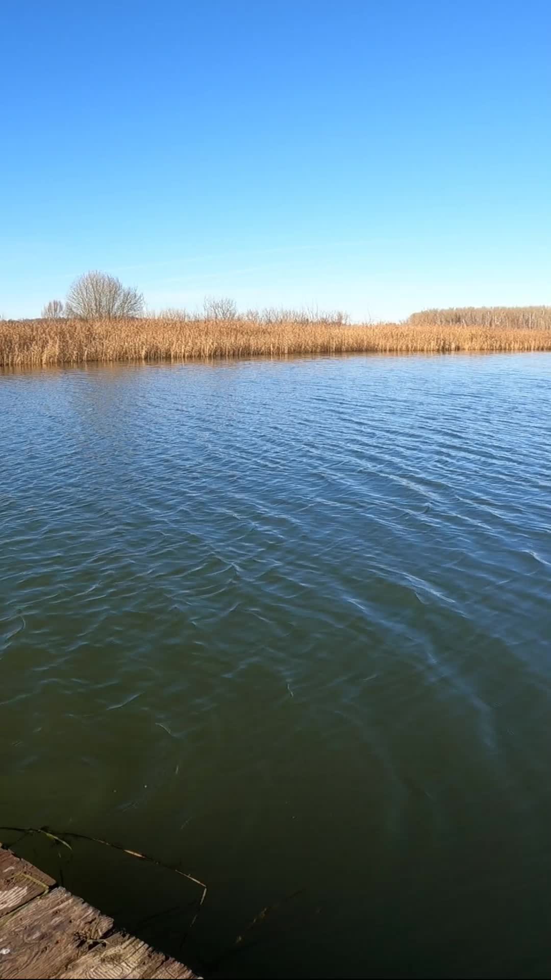 @Колька Рыбак по фану.Не основа
