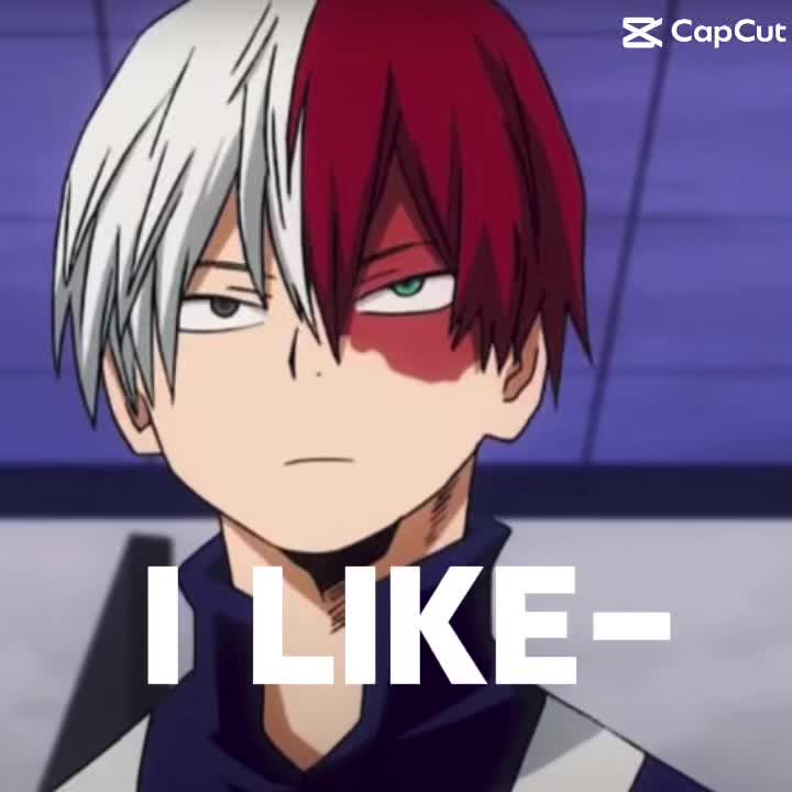 @🌹✨Shoto lover✨🌹
