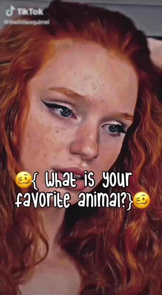 @thelittlesquirrel 💕🥴🌸