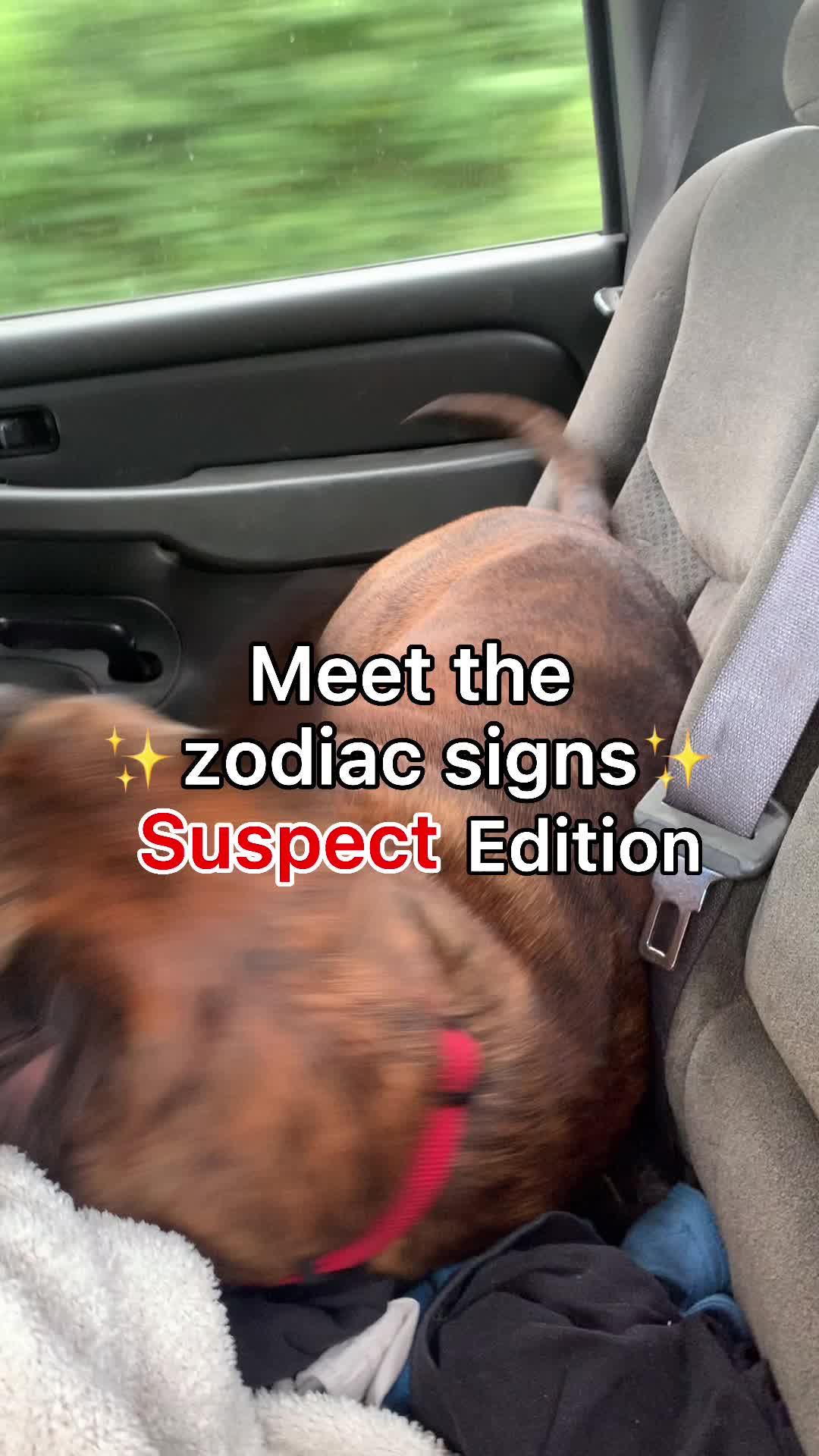 @zodiacduos