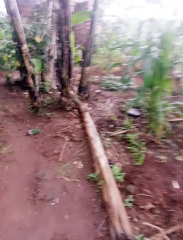 @jackiejordanz kasule 02