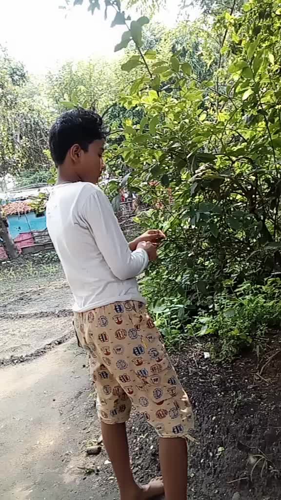 @pushpa kumari