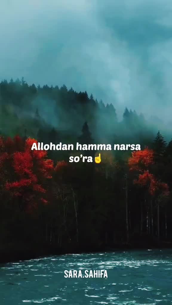 @◡̈⃝🧸❉্᭄͜͡ــہہـ٨ـہہـ٨ـﮩـ❤️