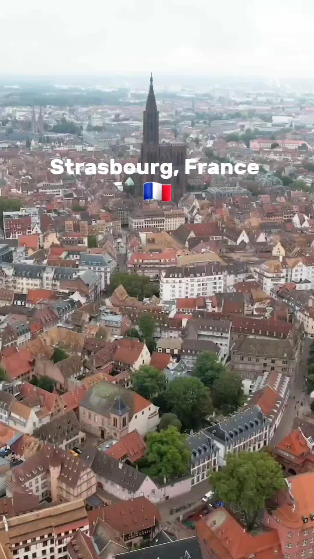 @Tourista