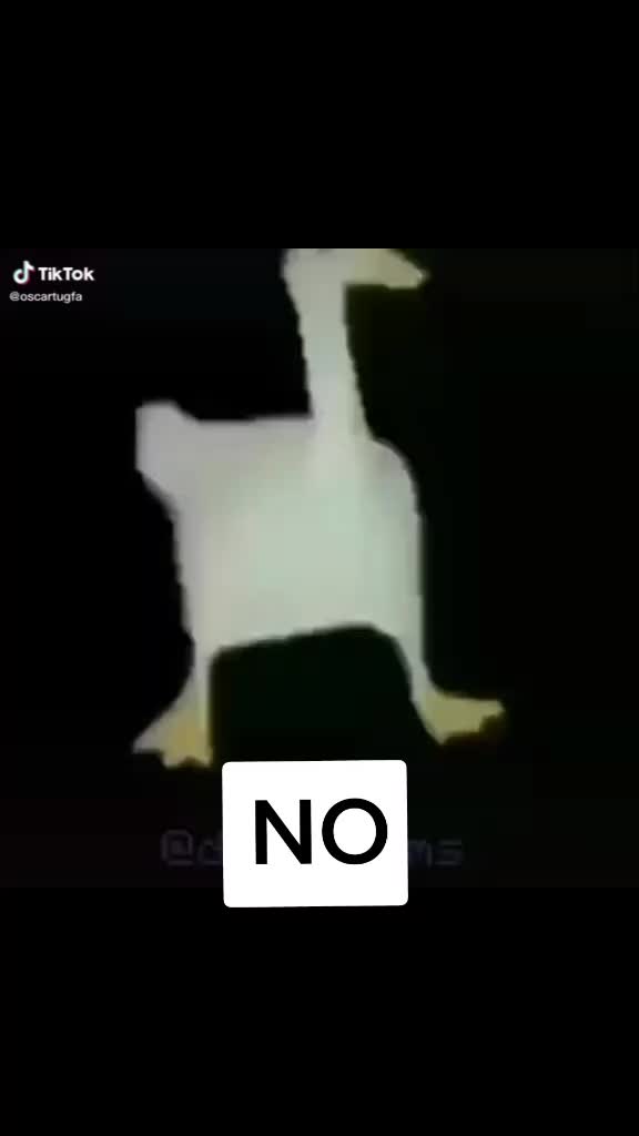 @Ilusioner