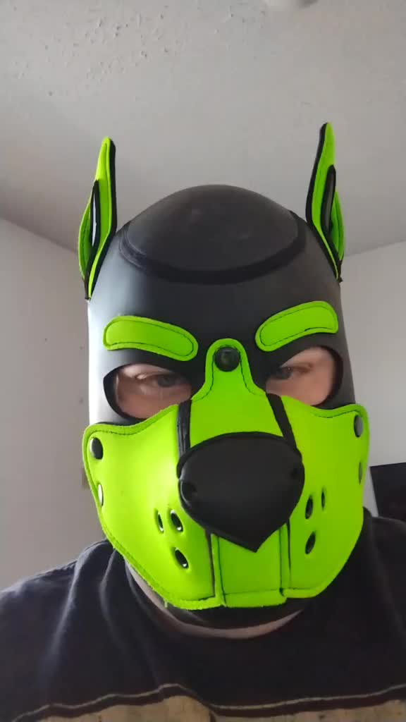 @PupNyonBlitz