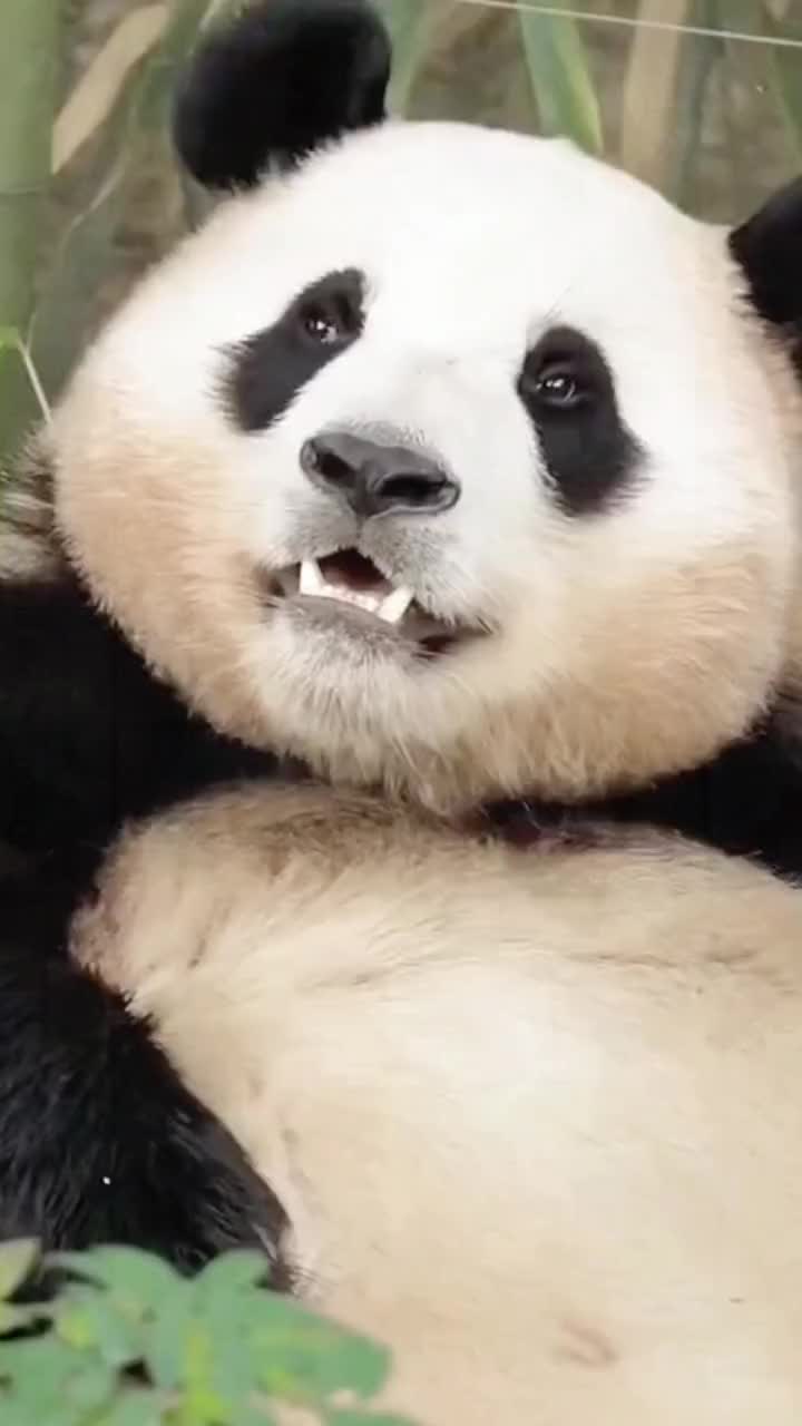 @ショウキンキ