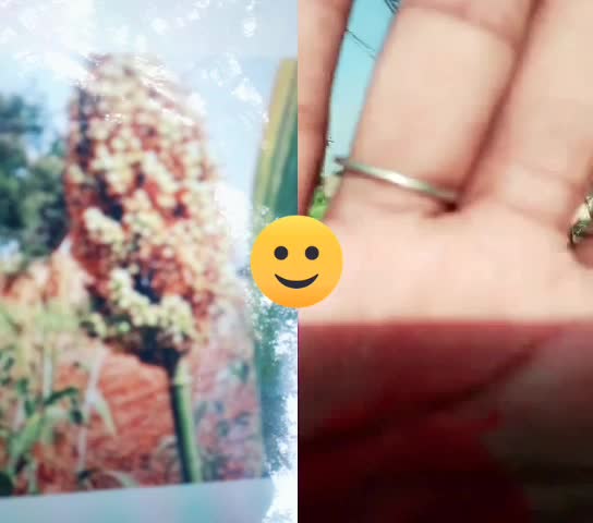 @santosh mandlik