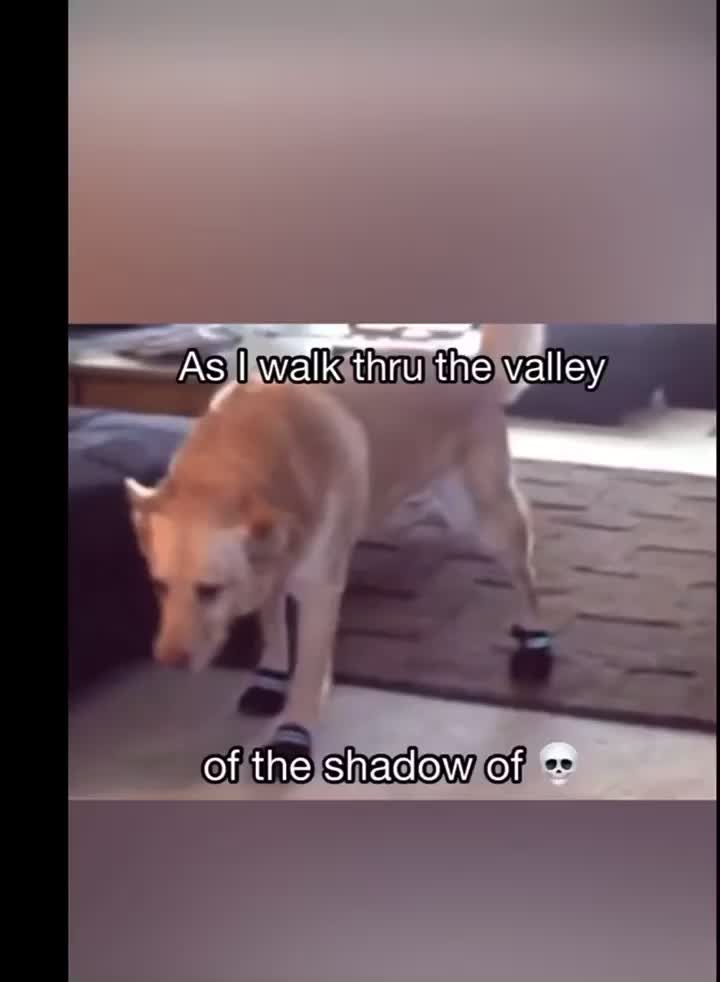 @Riley