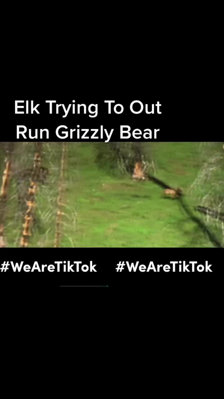 @borderman20