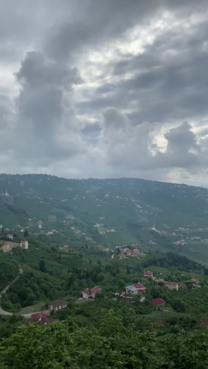 @&Ouml;zg&uuml;l Dilek Deniz