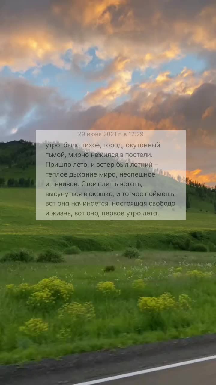@masha