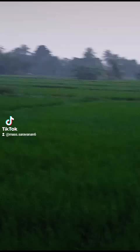 @Mass Saravanan