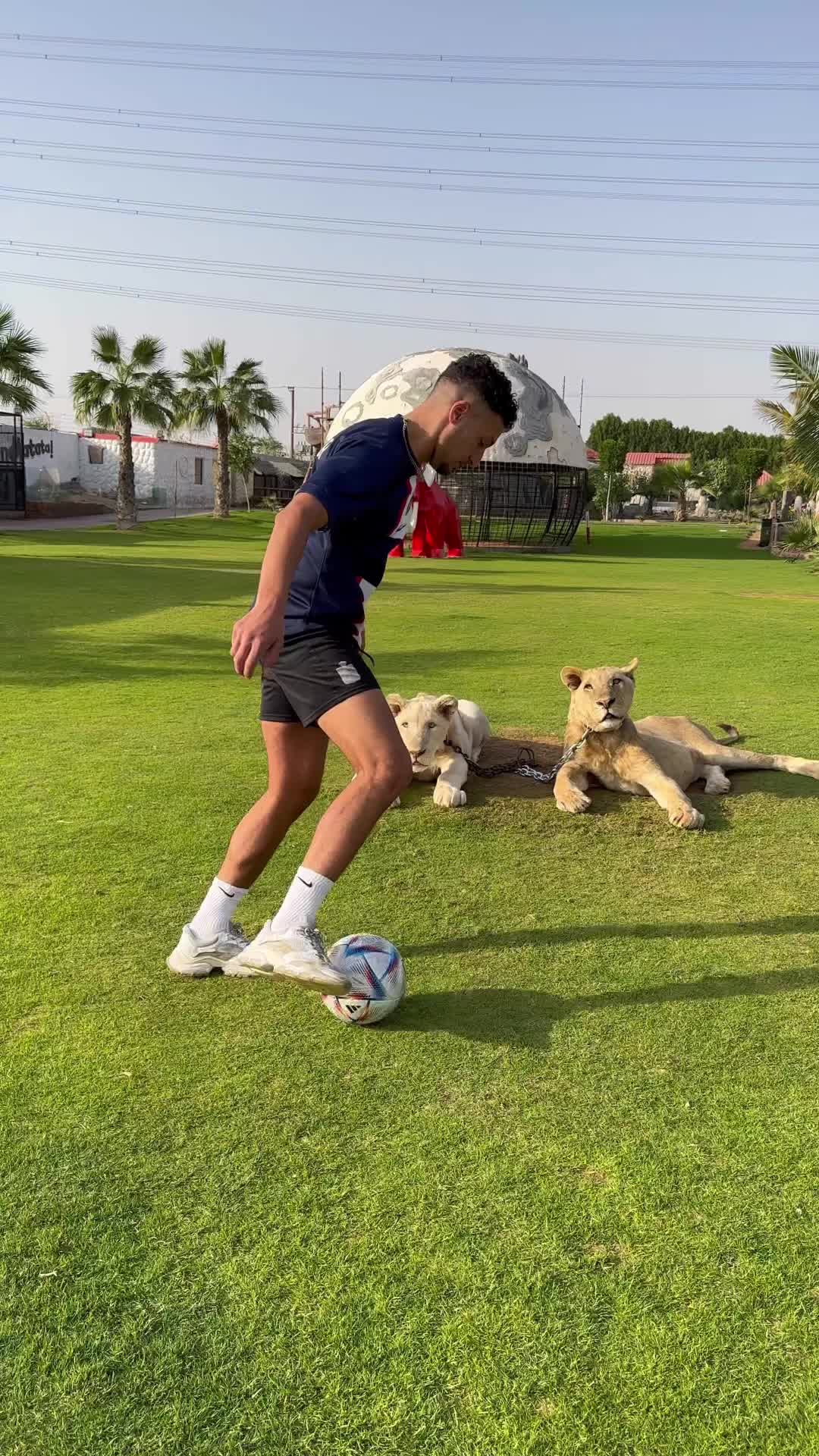 @Ferjaninho 🇹🇳