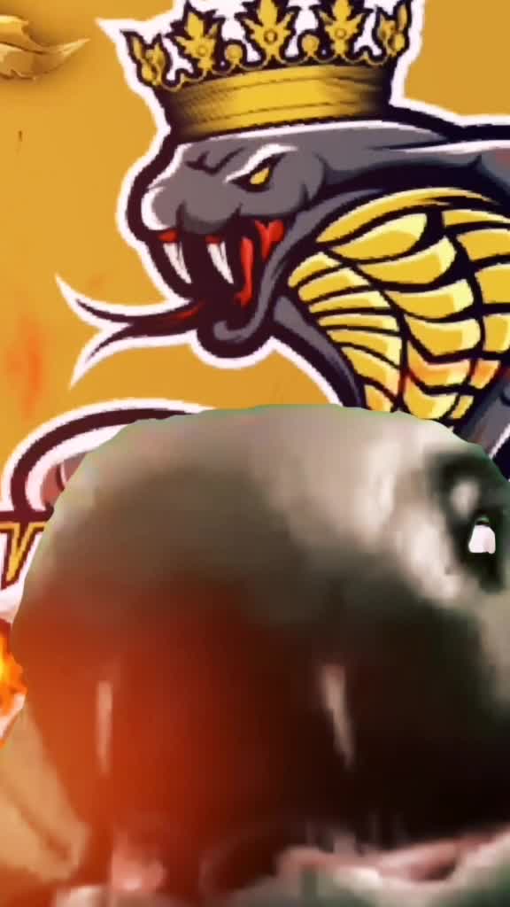 @🐍REAL🐍KING🐍🐍COBRA🐍
