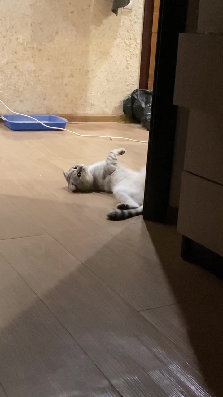 @Оля Ля 🖤