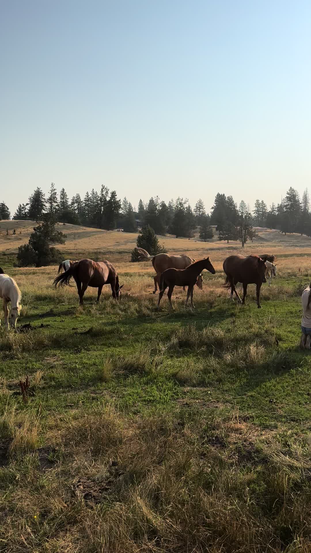 @Secret Springs Ranch