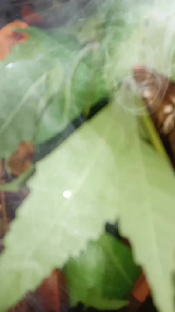 @aarunkumar99750