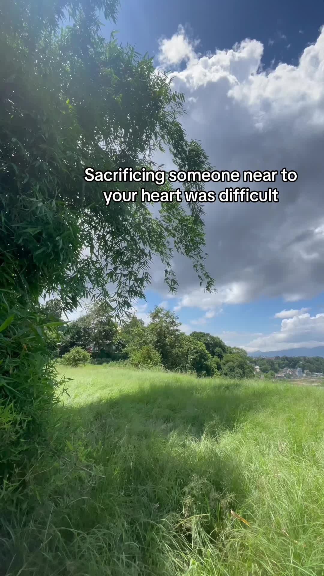 @Taurus