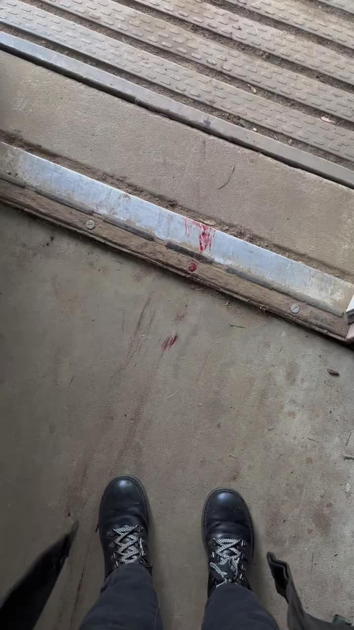 @Stryrofoam