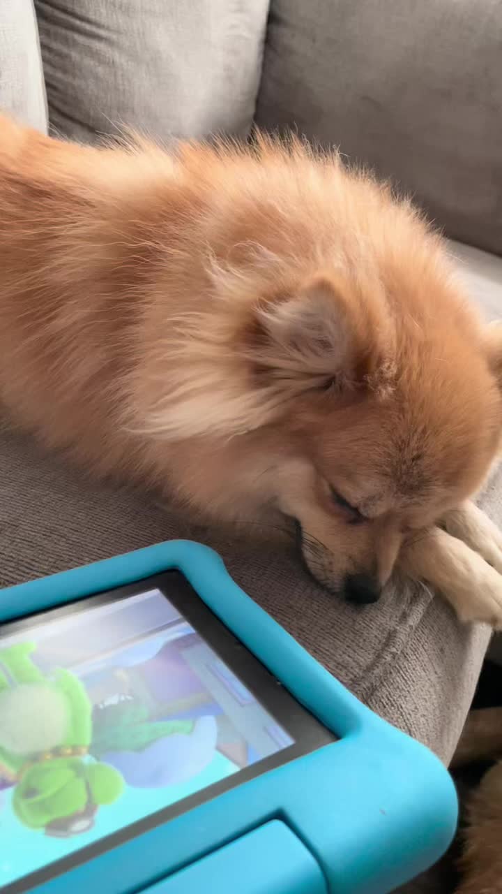 @jessicas_animals87
