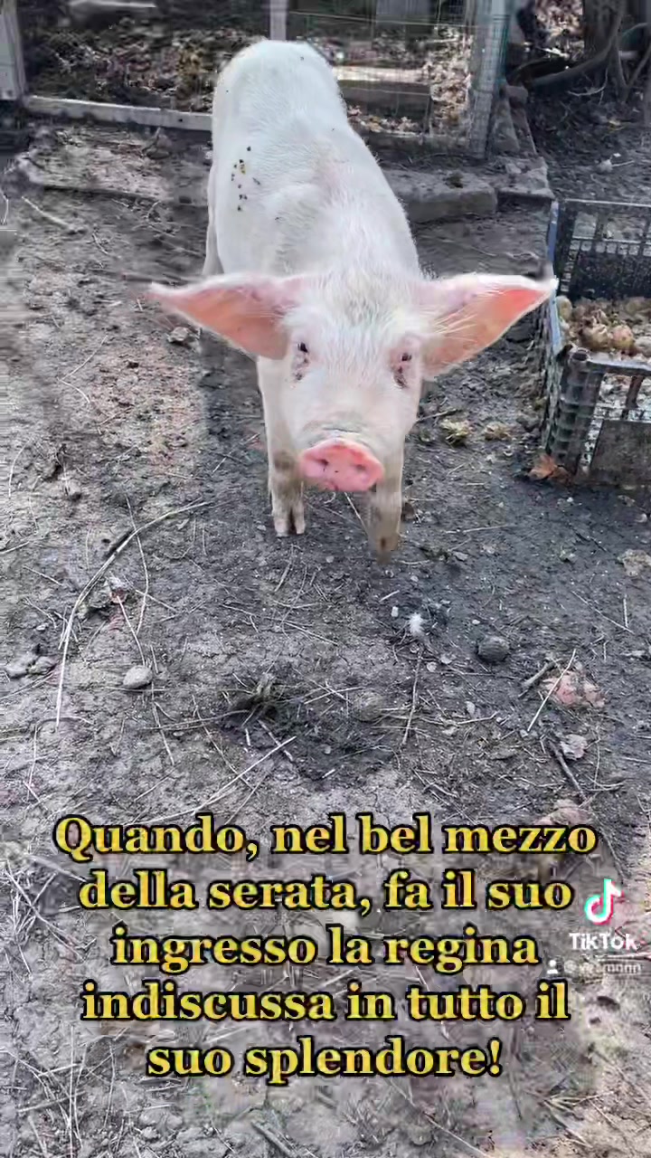 @Simonni