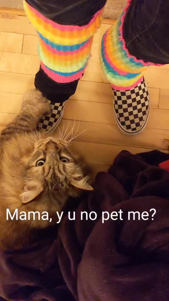 @OWLnOPAL