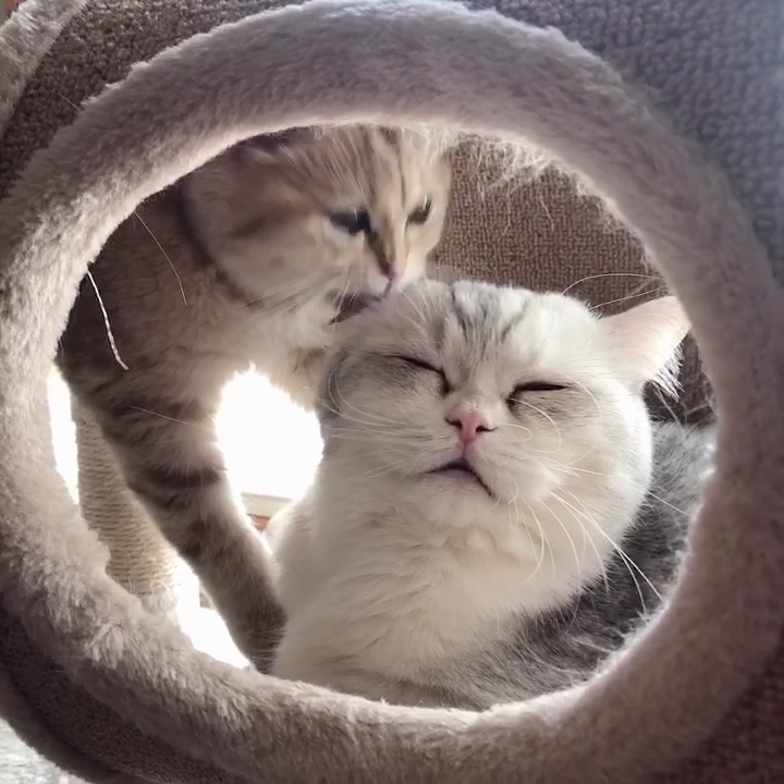 @Momo & Mimi