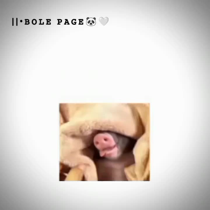@𝙱𝙾𝙻𝙴 𝙿𝙰𝙶𝙴 🐼🤍
