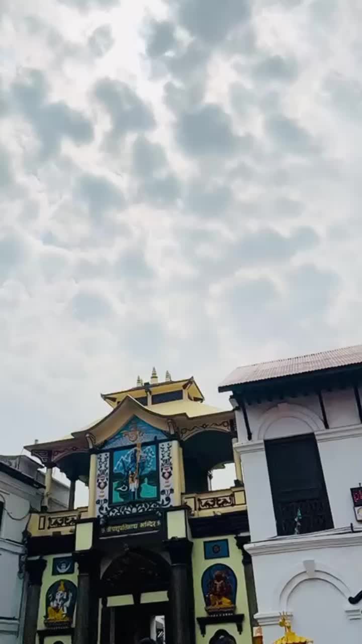 @junita 🇳🇵❤️🩹🇯🇵