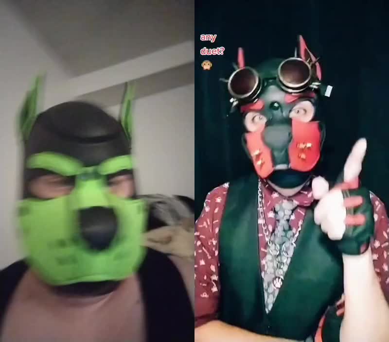 @PupNyonBlitz