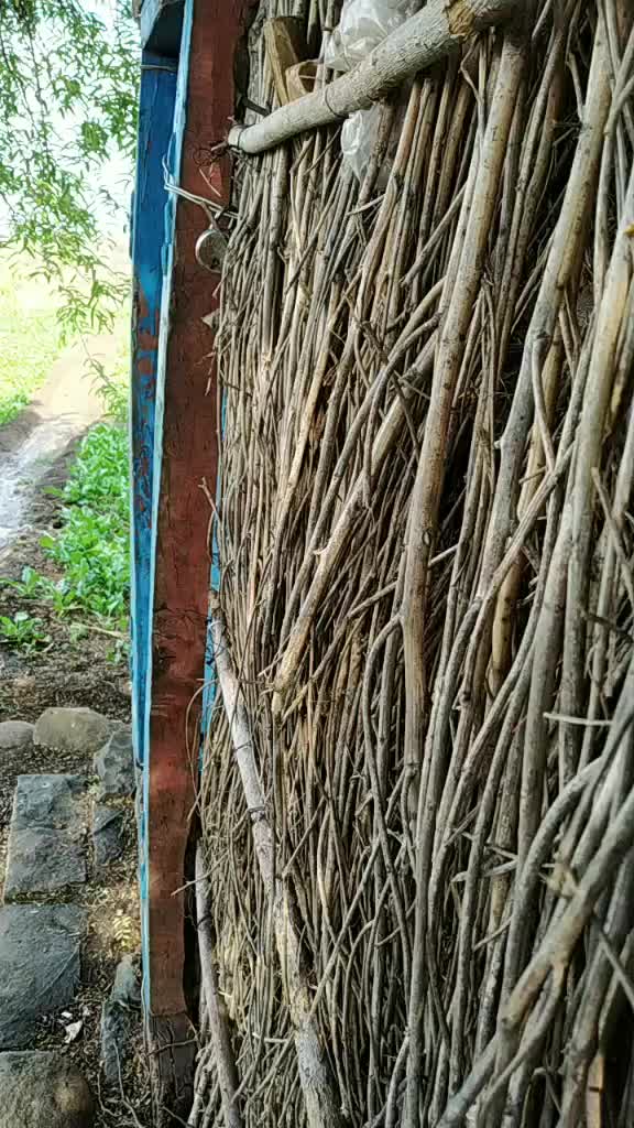 @Shankar Kanni